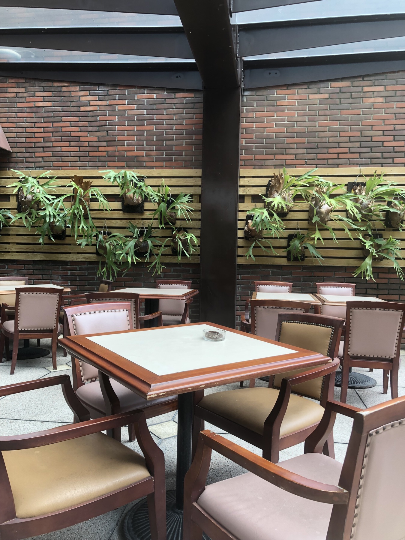 Landscaped garden with staghorn ferns at SOL Hotel Hsinchu